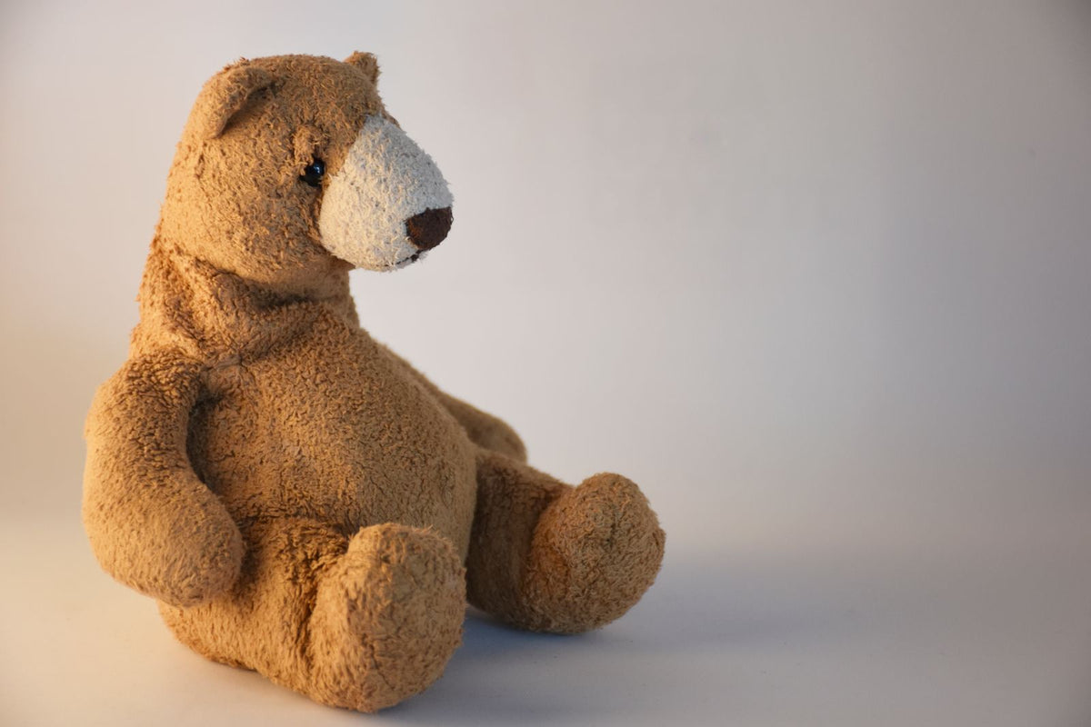 SAMPLE bear1 (Pexels 5802595) - replace with your own photo