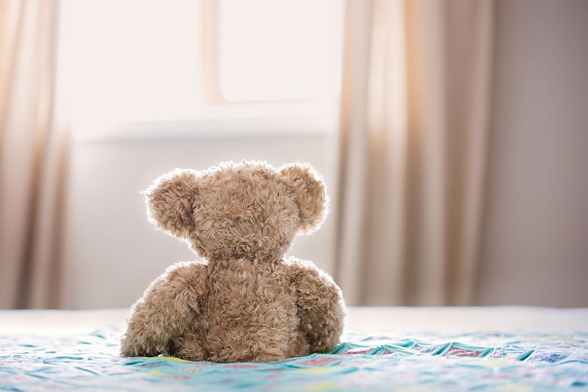 SAMPLE bear2 (Pexels 860882) - replace with your own photo