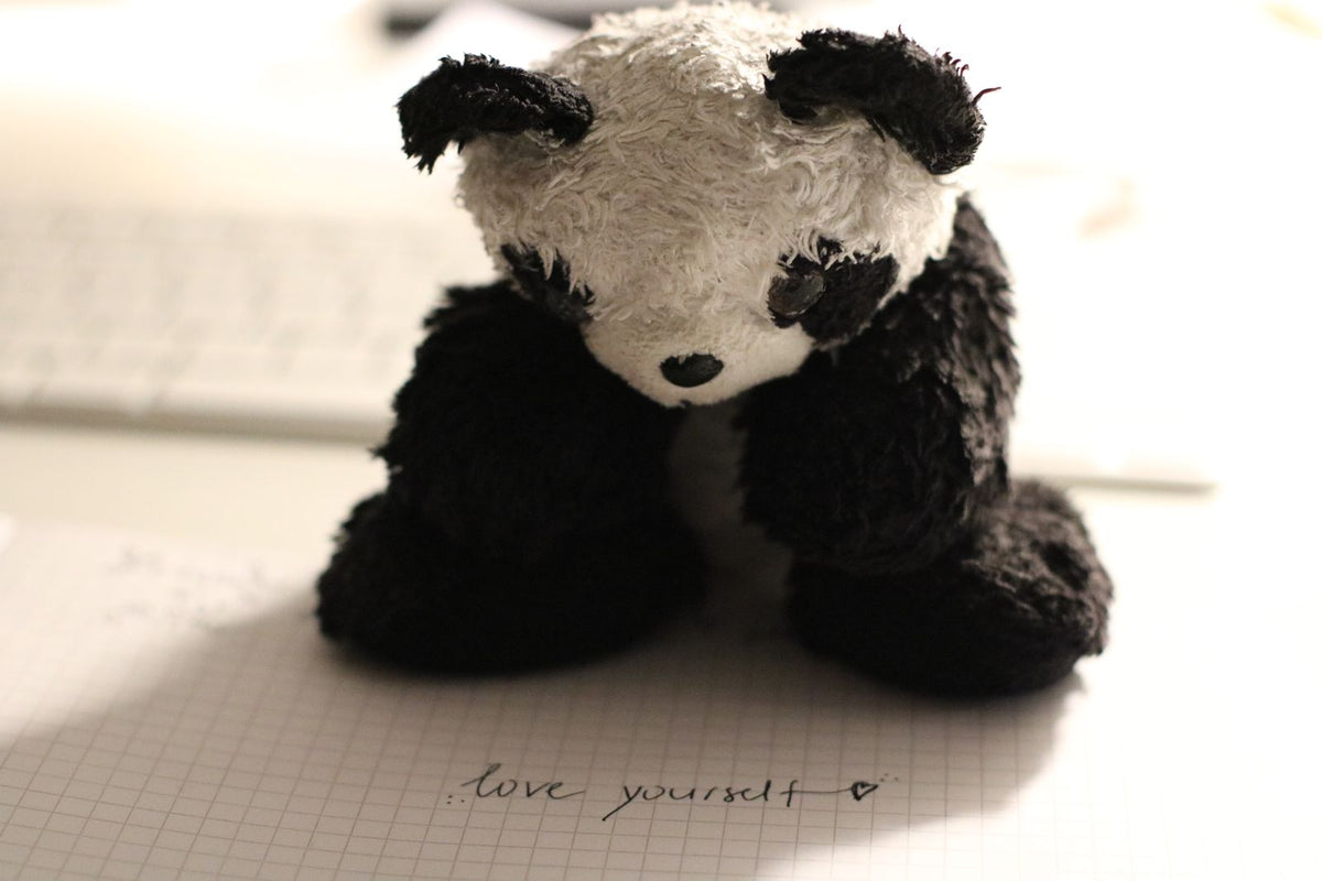 SAMPLE panda1 (Pexels 815491) - replace with your own photo