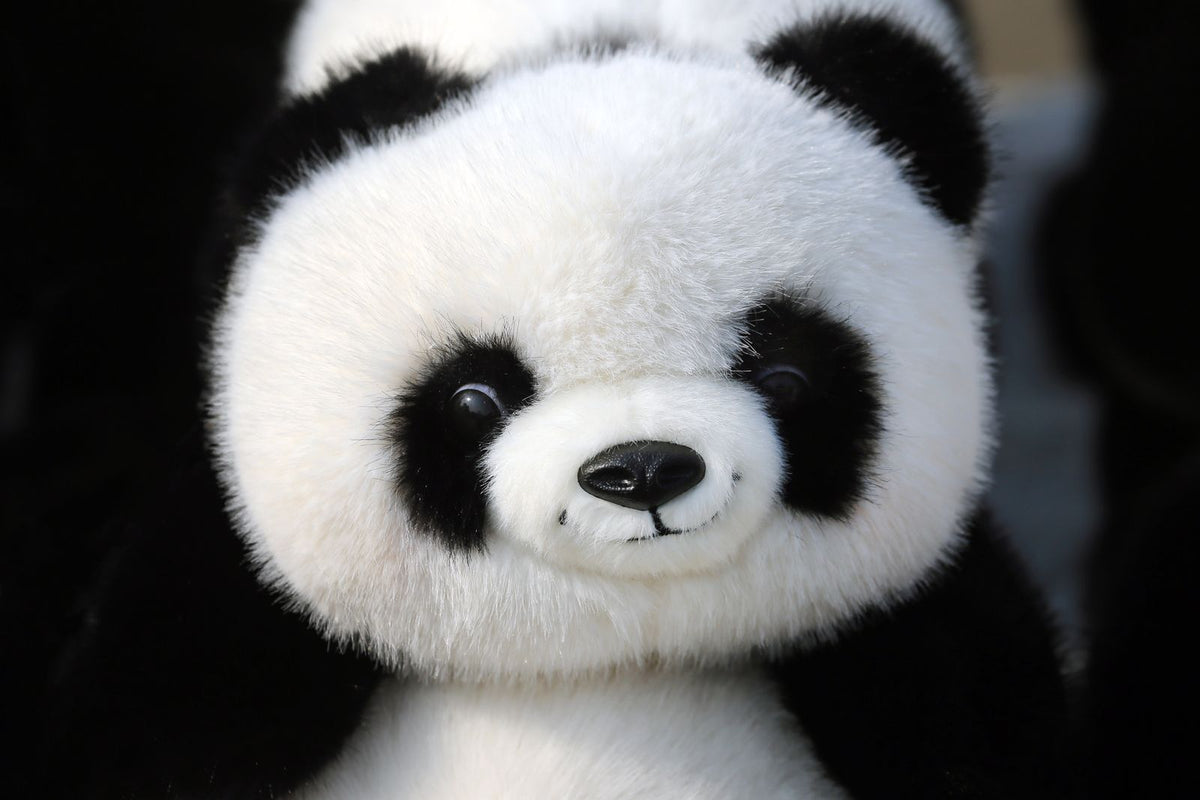 SAMPLE panda2 (Pexels 30273271) - replace with your own photo